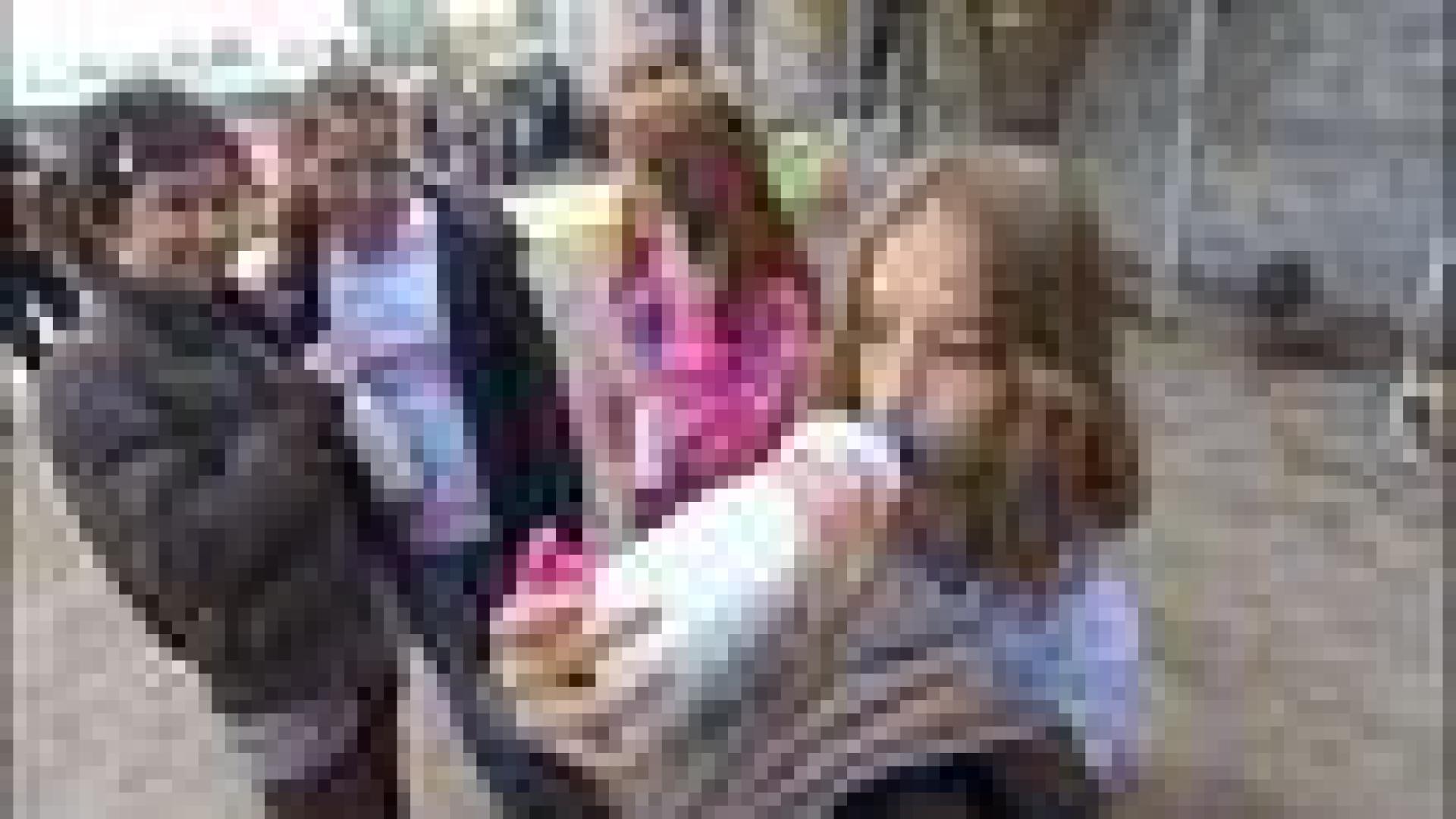 Distribution de lait à Soumagne